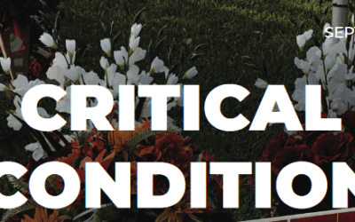 Groundbreaking National Voter Roll Study Reveals Alarming Trends as States Prepare to Vote by Mail