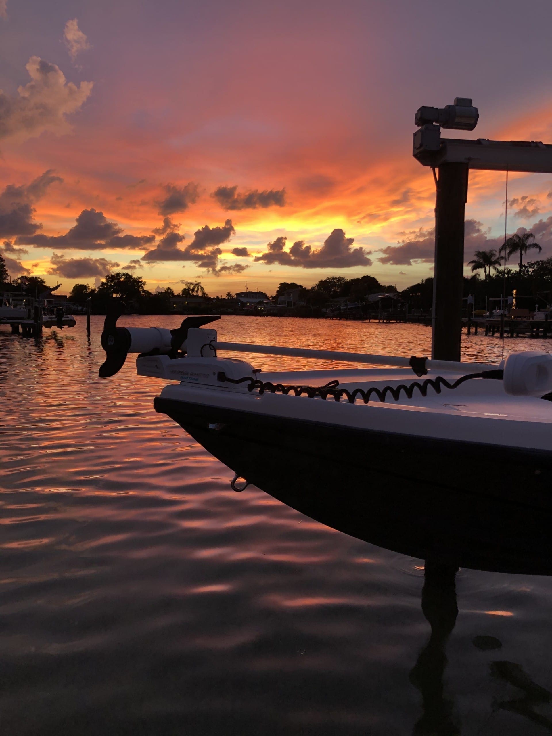 Palm Beach FL Elections Chief Susan Bucher Suspended