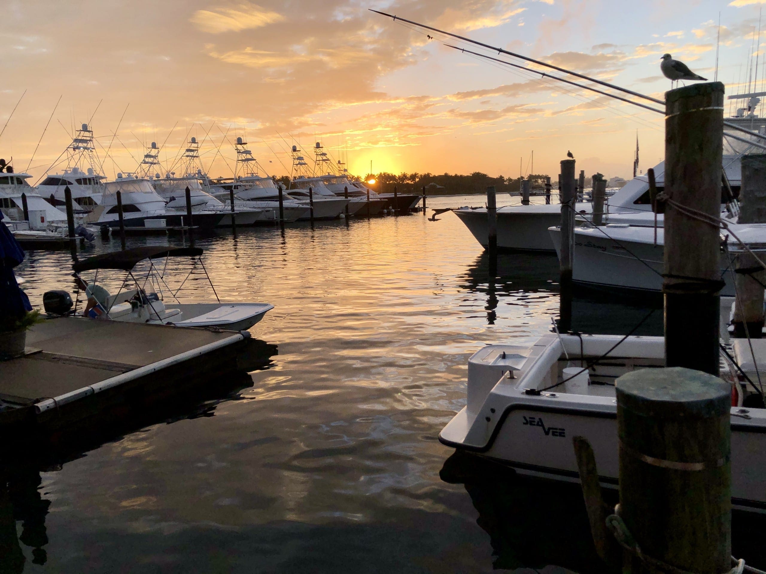 Calm Before the Storm: Are Palm Beach County’s Elections Protected Against Emerging Threats?