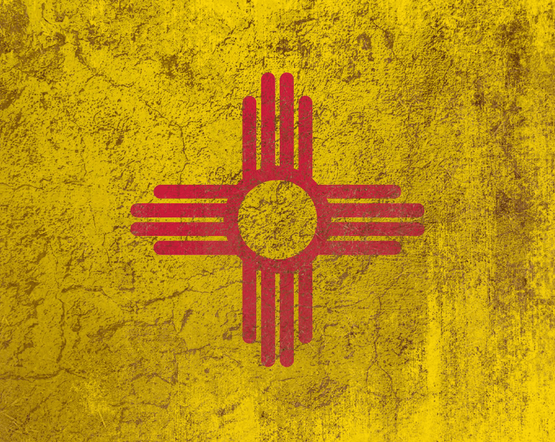 Report: How Left-Wing Election Reforms Are Forced on Unsuspecting Communities