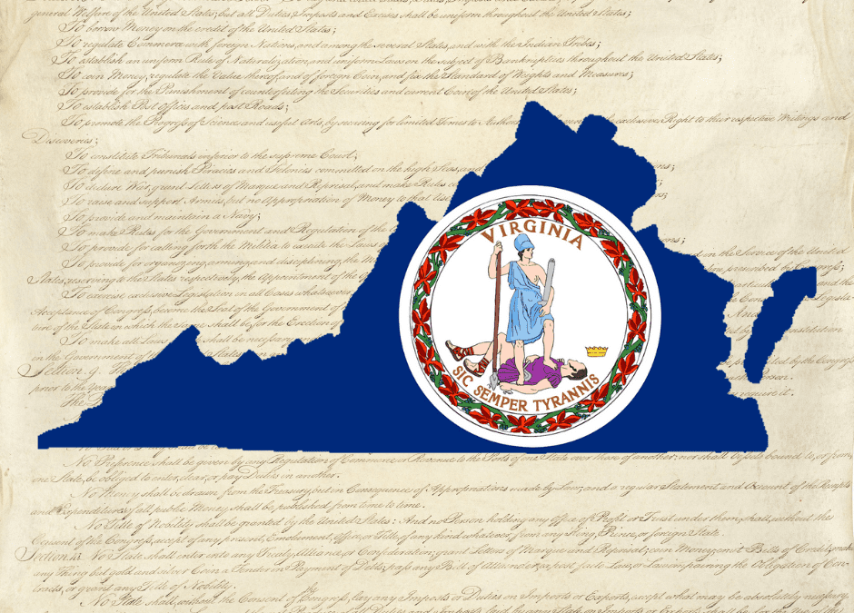 PILF Stands Up for the Rule of Law in Virginia Gubernatorial Election