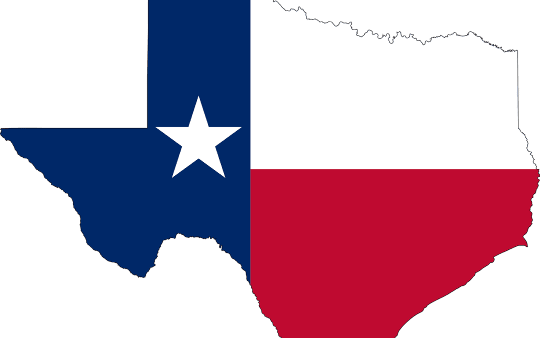 Army of Attorneys Bombard Court to Block PILF from Helping Defend Texas’ Election Integrity Law