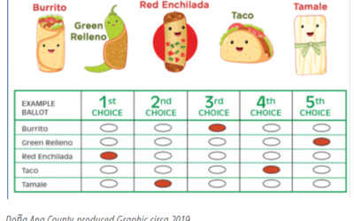 4 Things to Dislike about Ranked Choice Voting