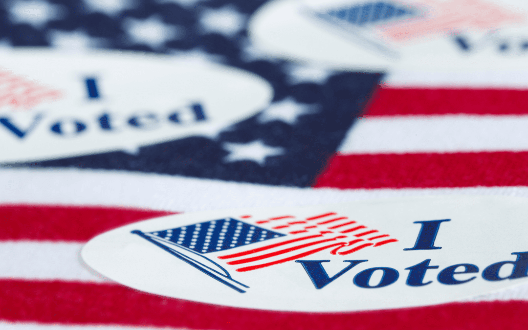Federal Court Rules States Cannot Punish Voter Roll Researchers