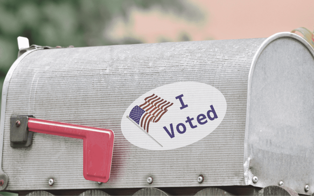 PILF Asks New York Court of Appeals to Declare Universal Mail Voting Law Unconstitutional