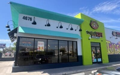 📺MUST WATCH: PILF Exposes Commercial Addresses on Arizona and Nevada Voter Rolls📺