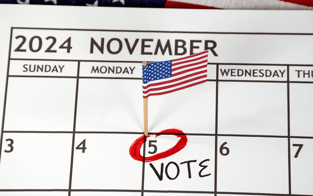 PILF Files Legal Brief in Ninth Circuit to Restore the “Day” in Election Day