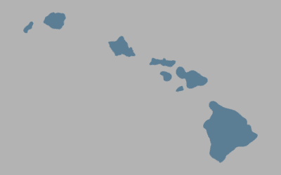 Akina, et al. v. State of Hawaii