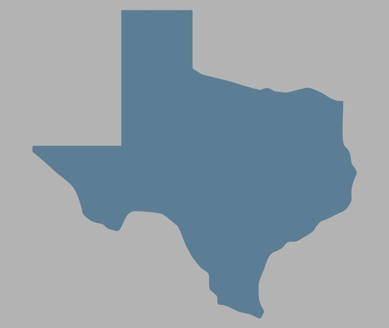 Texas Democratic Party v. Greg Abbott